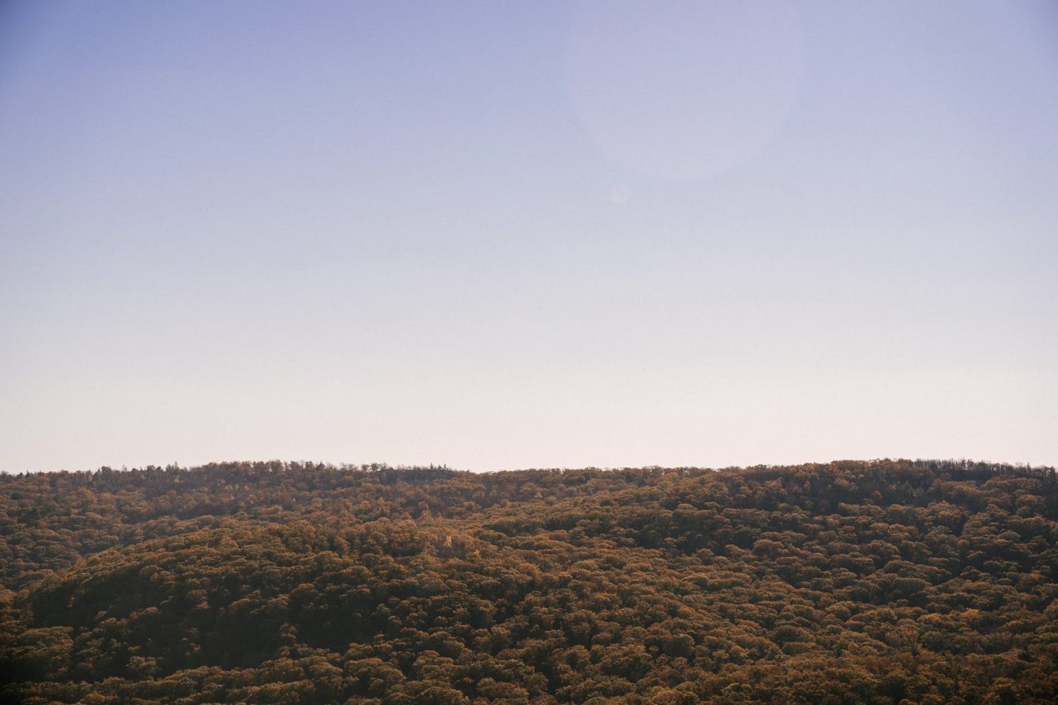 green lush forest on mountain ridge